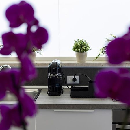 Acquaro Suite Apartments サン・ヴィート・ロ・カーポ 部屋 写真